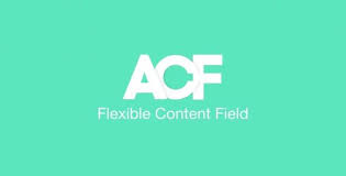 Advanced Custom Fields Flexible Content Addon